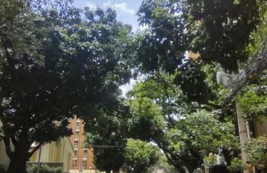 Volpi Residence na Savassi - charme, localização e conforto - Foto 38