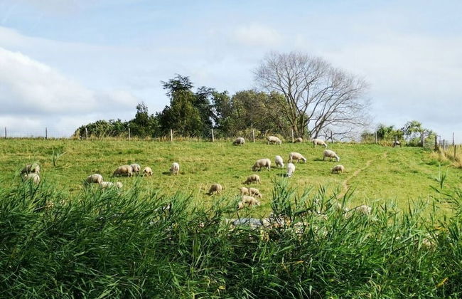 Holiday Home Deichblick 58 - Foto 11