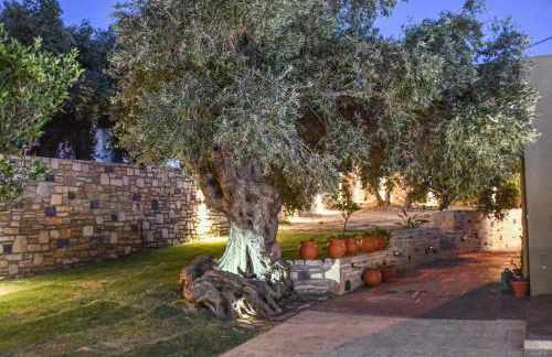 PAUL'S VILLA PLAKIAS - Photo 44