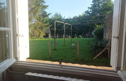 La maison au bord de l'eau - Foto 5