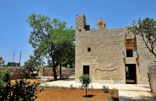 Biomasseria Muto - Foto 43