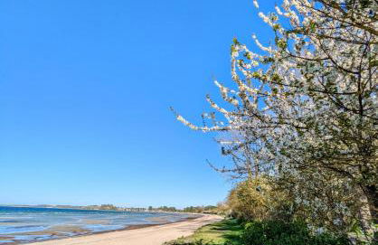 Spatzenhecke - Foto 4