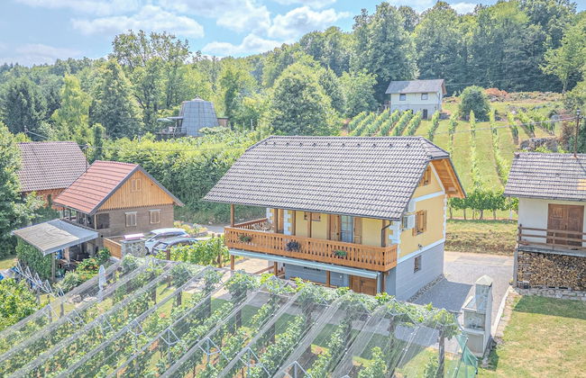 Vineyard Cottage Stepan - Foto 23