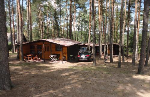 Ośrodek Wypoczynkowy Jaszczurka - Foto 17