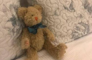 Woodhaven, darling romantic cabin, ATV trails, Mena, AR - Foto 37