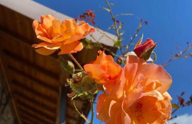 Quinta dos Mouras - Foto 31