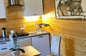 Domek Serce Krynicy - Foto 7