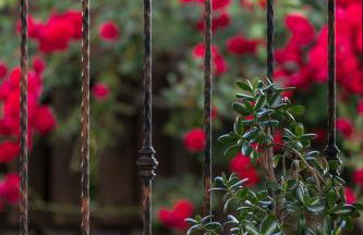 Apartment Mia - Foto 40