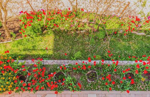 Greenway Apartment Radić - Photo 27