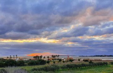 Martina's Vineyard - villa - Foto 40