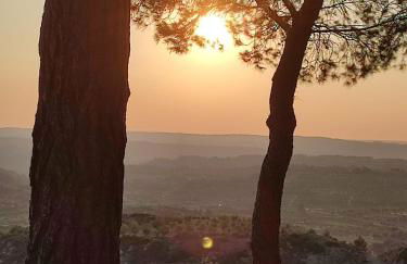 Casa Rural La Gineta - Foto 23