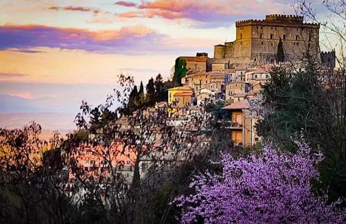 Casa Divitia - Foto 25