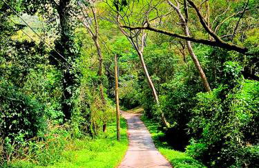 Studios Altos da Igrejinha - Foto 18