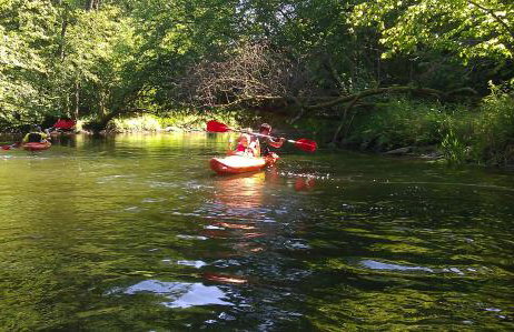 Gajówka Świt - Foto 10