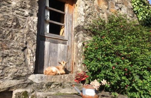 Quinta Padre Lobo - Foto 64