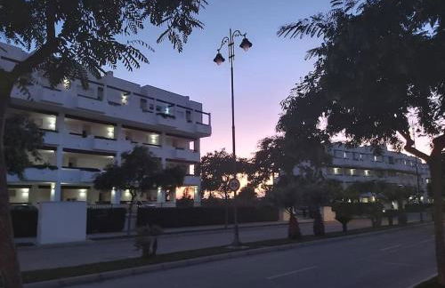 Condado de alhama, naranjos 8 - Foto 41