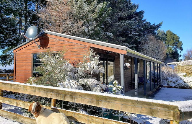 Height of Dunedin - Photo 15