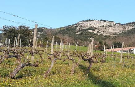 Terre de Crussol - Gite 3 étoiles en Ardèche, avec piscine et clim, 2-4 personnes - Photo 25