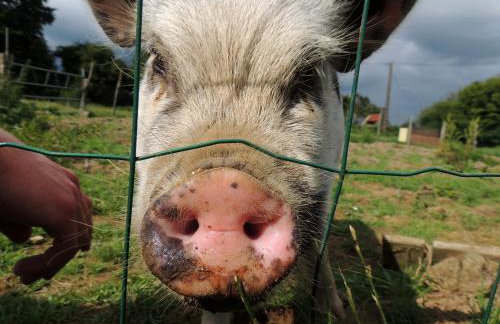 Bienvenue à La Sélinière ! - Foto 21