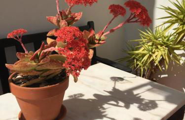 Your Vintage Townhouse - Foto 55