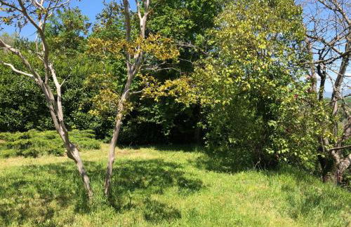 Il colle degli olivi - Foto 24