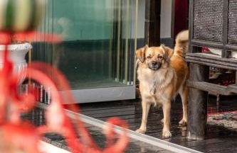 Villa VERNEY - Foto 34