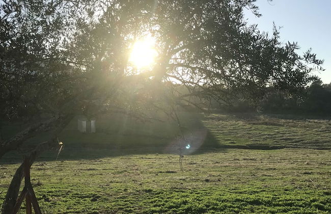 Finca La vega - Foto 72