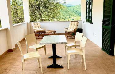 Azienda Agricola Sebastiani - Foto 8