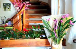 Appartements Villa Fortuna - Foto 3