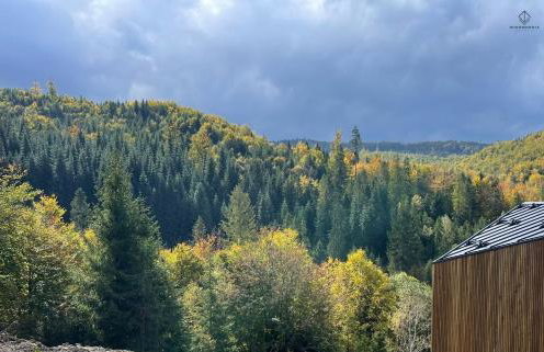 Widokownia Brenna - Foto 24