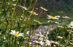 Ferienwohnung Lavendel - Foto 17