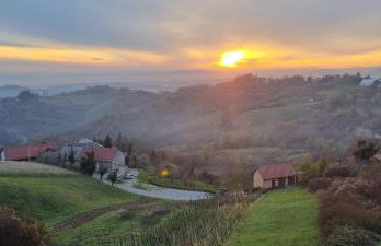 Wine Panorama house - Foto 15