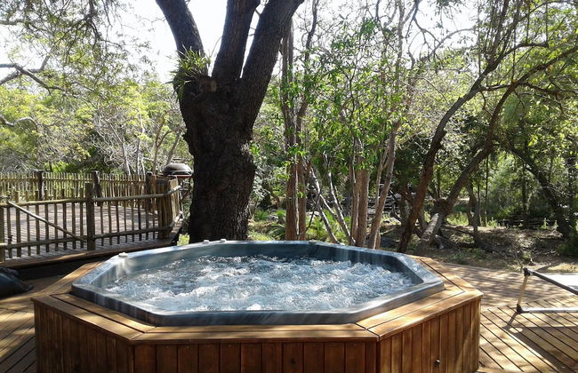 Blyde River Cabin Guesthouse - Foto 32