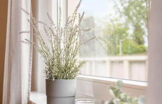 Casa Aguila - Viernheim - Foto 23