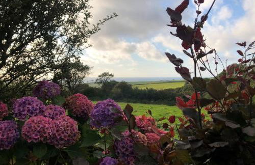 Beautiful family home, sea views, large garden - Foto 27