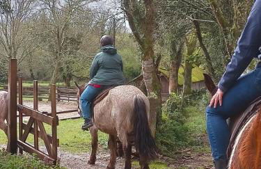 Granja Labrada: Alojamiento con caballos - Foto 56