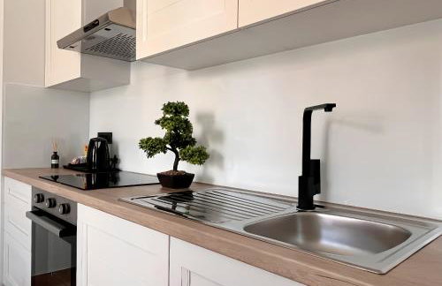 Luxury apartments White house - Foto 36