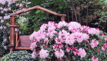 Traumhaftes Reetdachhaus "Grote Eken" in der Lüneburger Heide - Foto 5