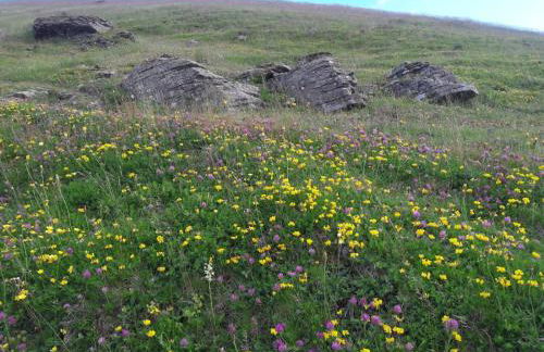 Pratomagno Apartment - Foto 21