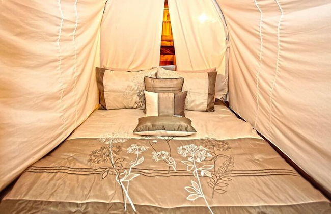 Diamonds Old West - Foto 41