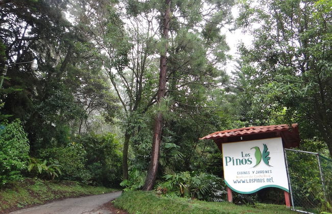 Los Pinos Cabanas y Jardines - Photo 38