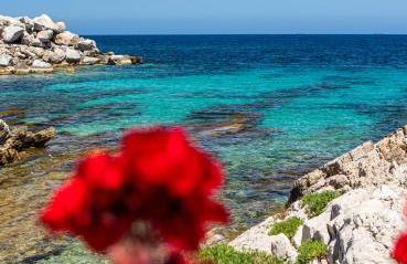 Ciuri Ciuri - Foto 41