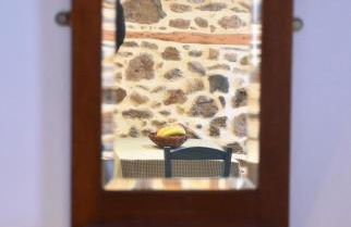 The apricot tree studio - Foto 8