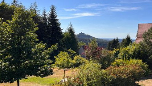 Cabane du Trappeur Wellness Dabo - Photo 5