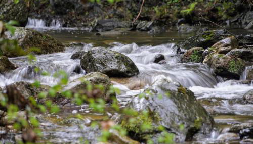 Panorama du Vallespir - Foto 3