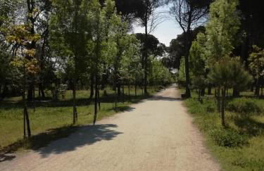 Casa a Cervia, via Gargano 14 - Foto 17