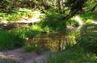 La maison D'Orée - Foto 55