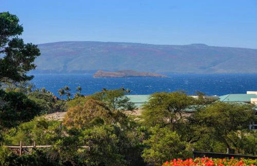 Upscale Wailea! 2-2 with Ocean View - Foto 36