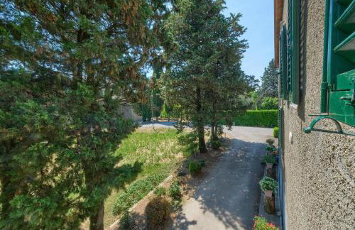 L'aia dì Trippa all'Aria Mugello - Photo 12