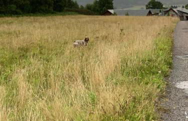 Uist Cottage - Foto 23
